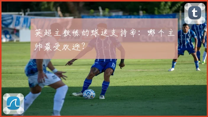 英超主教练的球迷支持率：哪个主帅最受欢迎？