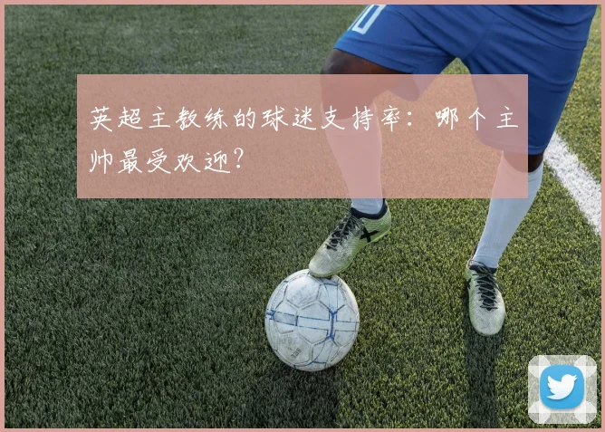 英超主教练的球迷支持率：哪个主帅最受欢迎？